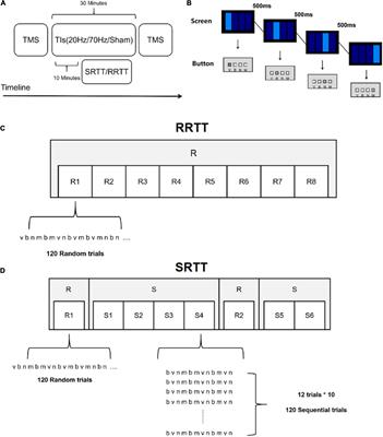 High Gamma and Beta Temporal Interference Stimulation in the Human Motor Cortex Improves Motor Functions